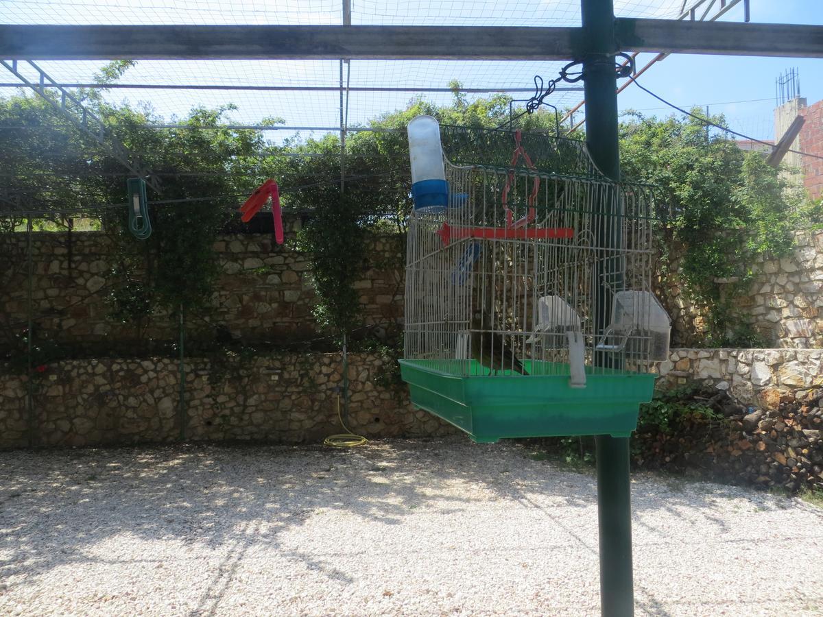 Apartments Cerro クサミル エクステリア 写真